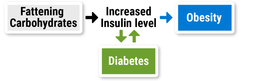 intermittent-fasting-the-metabolic-nurse